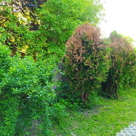 Twins House - Dorka דירה Bogács