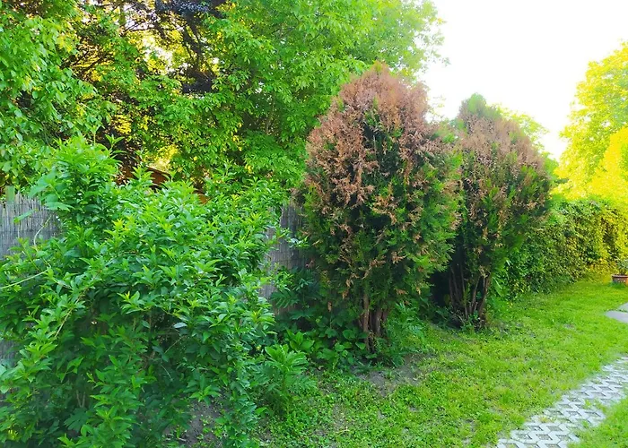 Twins House - Dorka דירה Bogács